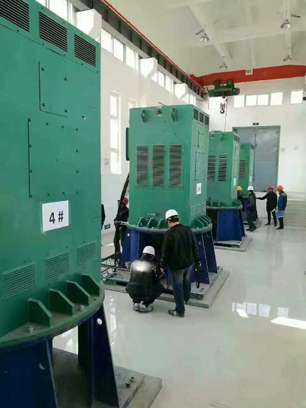 万泉镇某污水处理厂使用我厂的立式高压电机安装现场